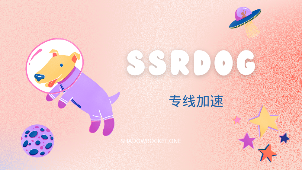 SSRDOG 机场